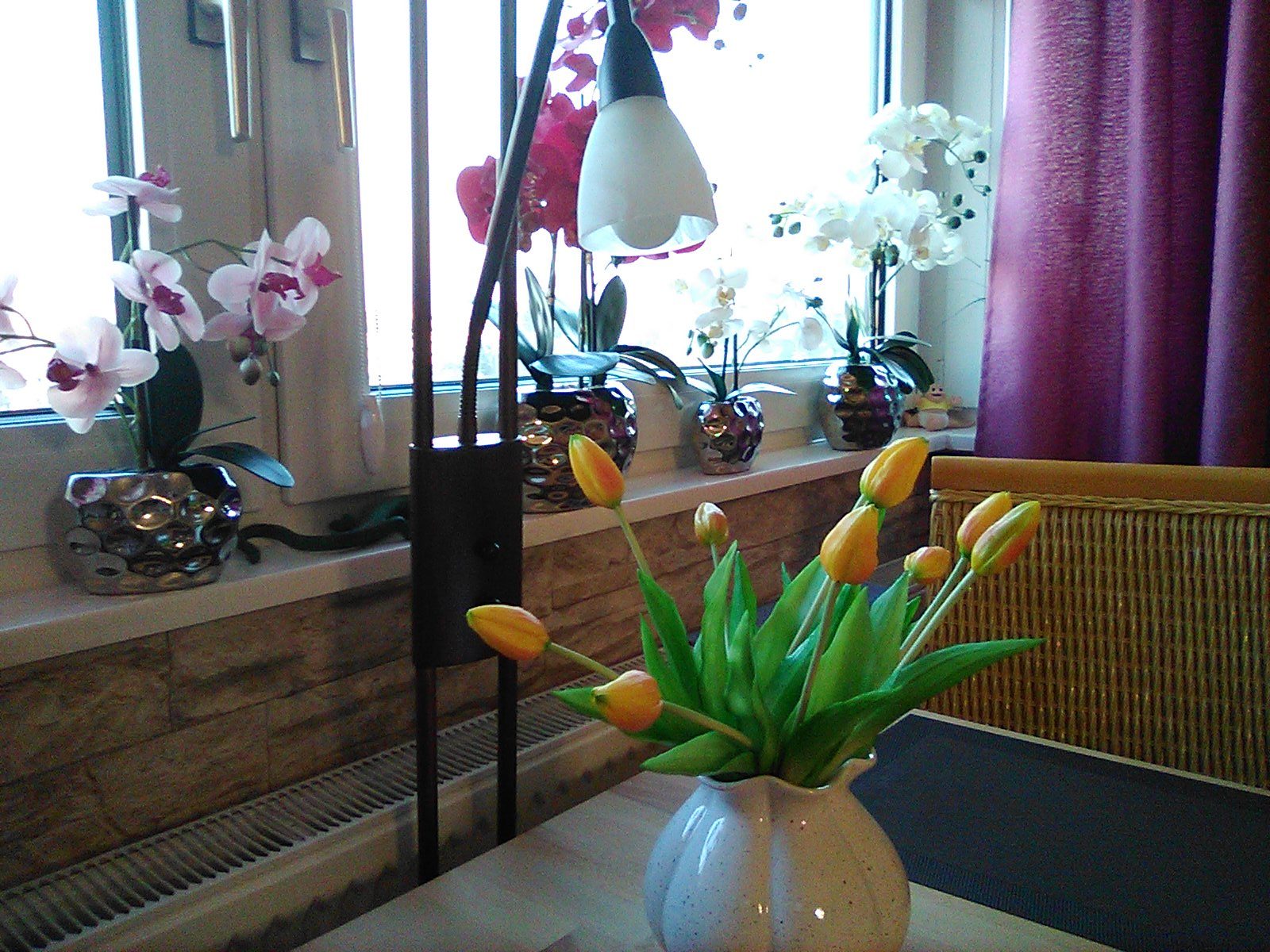 blumen bild